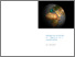 [thumbnail of Making_visible_the_invisible.pdf]