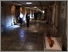 [thumbnail of Gallery.jpg]