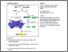 [thumbnail of Structure of the Helicase Domain of DNA Polymerase Theta Reveals a Possible Role in the Microhomology- Mediated End-Joining Pathway.pdf]